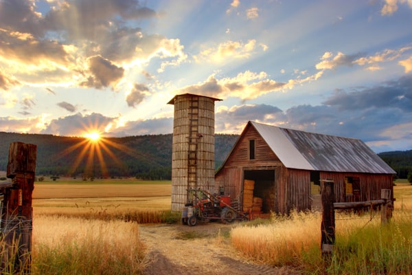 Barn & Agricultural Buildings